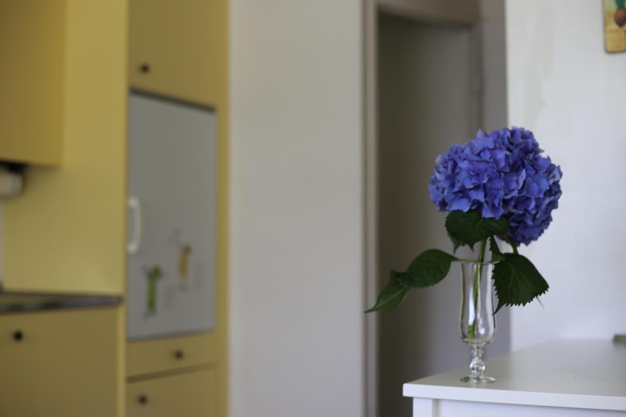 Casa Scerina Διαμέρισμα Sementina Εξωτερικό φωτογραφία