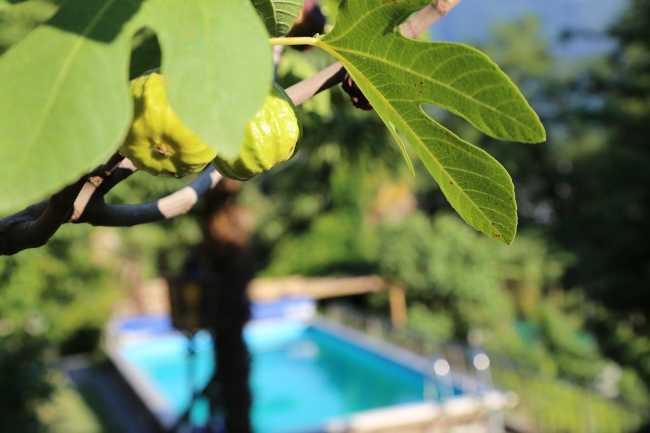 Casa Scerina Διαμέρισμα Sementina Εξωτερικό φωτογραφία